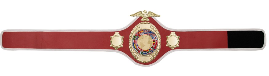 CHAMPIONSHIP BELT PRO288/G/FLAGG - AVAILABLE IN 10 COLOURS CHAMPIONSHIP BELT PRO288/G/FLAGG - AVAILABLE IN 10 COLOURS